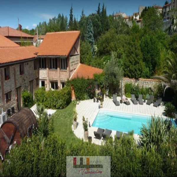 Vente Immobilier Professionnel Murs commerciaux Prades 66500