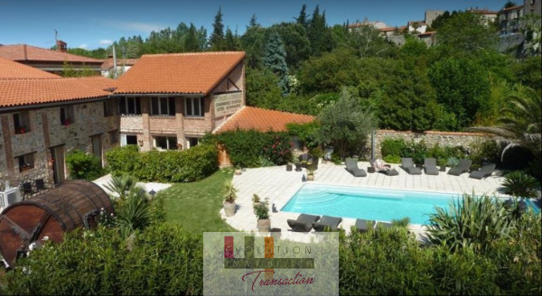 Vente Immobilier Professionnel Murs commerciaux Prades 66500