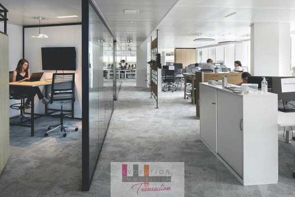 Vente Immobilier Professionnel Bureaux Cabestany 66330