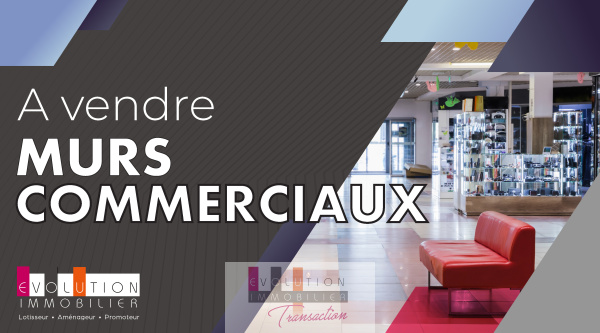 Vente Immobilier Professionnel Murs commerciaux Bolquère 66210